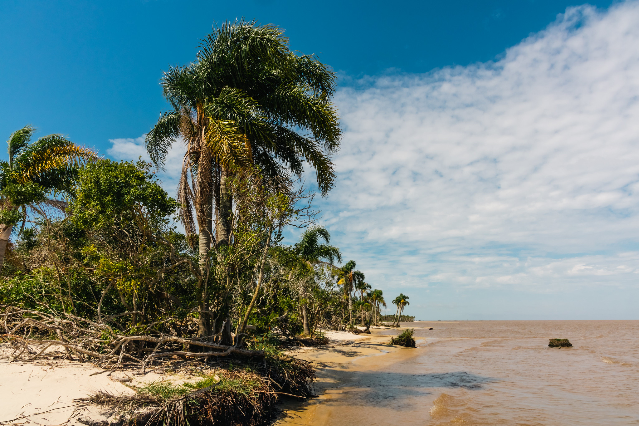 Conheça a Rota de Afroturismo Sustentável