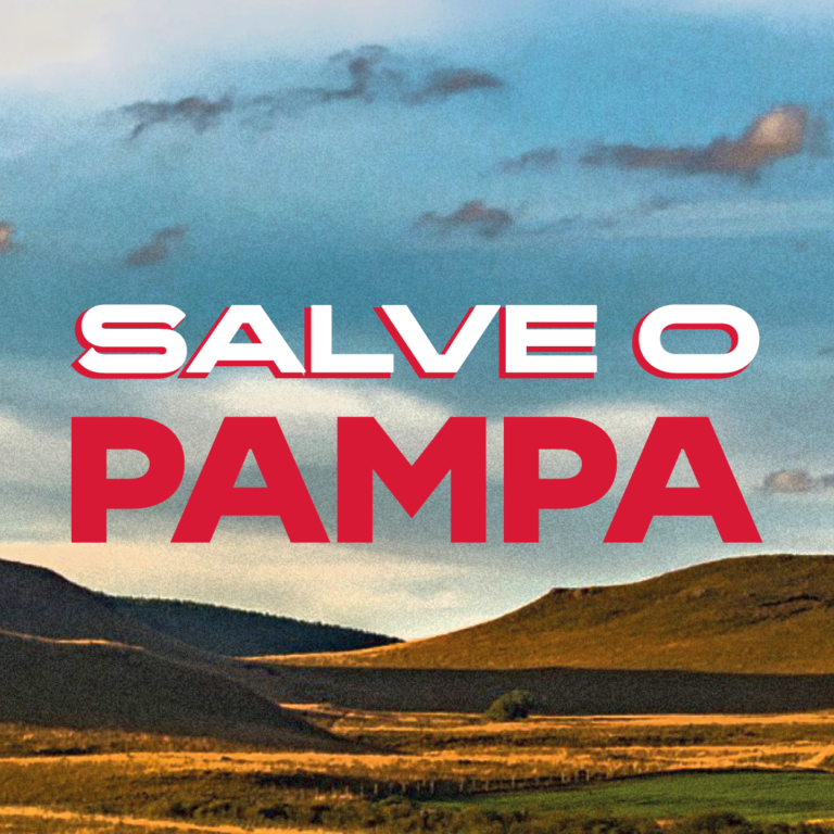 SALVE-O-PAMPA